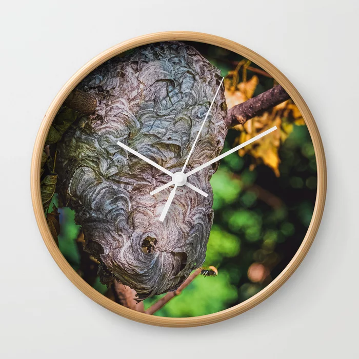 Bald-Faced Hornet's Hive. Nature Photograph Wall Clock
by lovefi 
