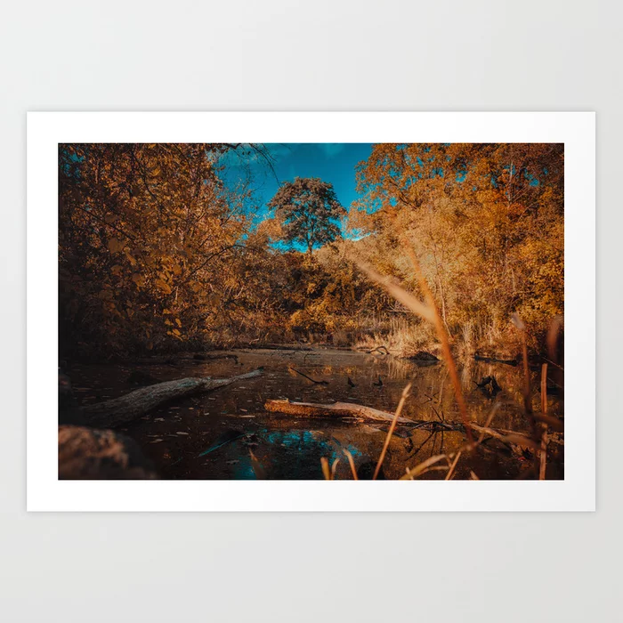 Quiet Creek II. Landscape Photography Art Print
by lovefi 