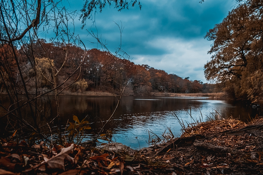  Autumn Pond Photograph.
by Stephen Geisel, Love-fi