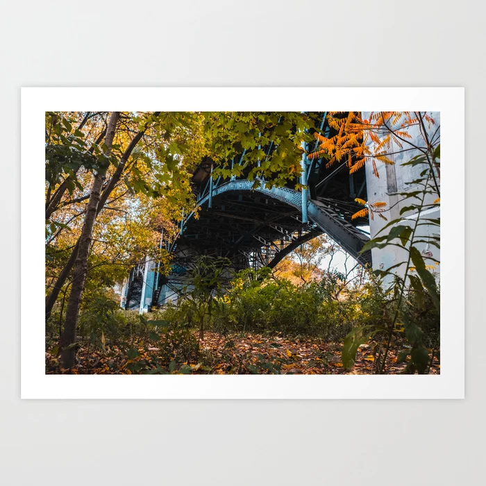 Reclaimed Bridge Photograph Art Print
by lovefi 